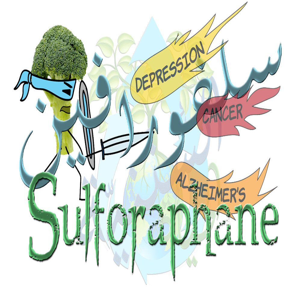 Sulforaphane السلفورافين (الطعام الخارق)